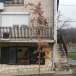 Preobrazenje Badnjak 002